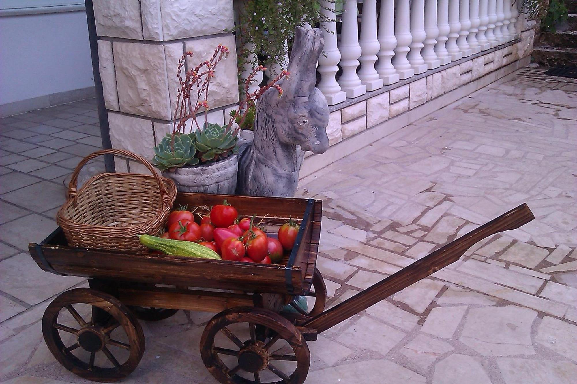 Pansion Ivana Baška Voda Εξωτερικό φωτογραφία